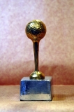 bronce_pulido_GBD0019
