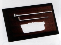 plata_GP0013